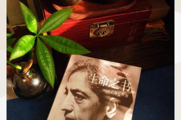 1984年出生者的命理分析：木命的心灵之旅与生命智慧