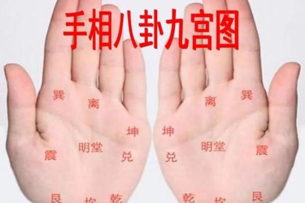 探秘手掌图：揭秘手掌中的命运玄机与人生智慧