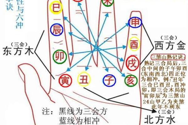 探秘手掌图：揭秘手掌中的命运玄机与人生智慧