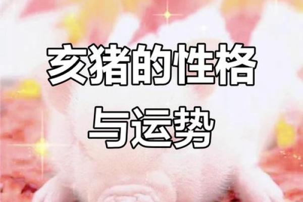 07年属猪男的命运解析：探索他的性格与人生道路