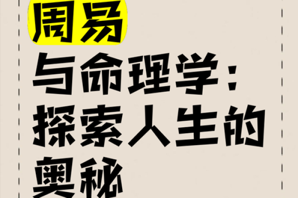 1993年的命运之谜：解析人生轨迹与命理之间的奥秘