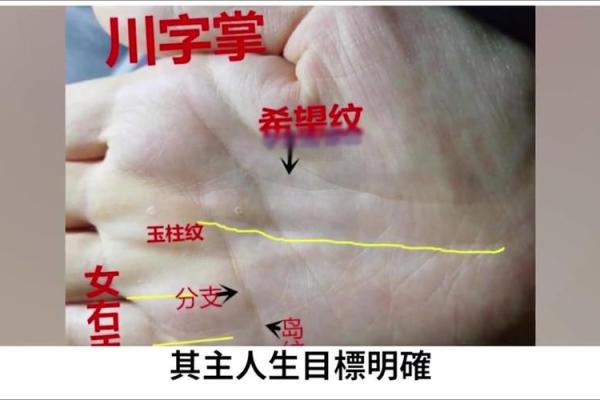 手心出汗的人到底有什么命运秘密？解析命理背后的真相！