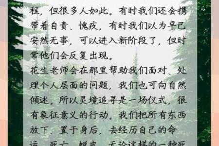 1984年出生者的命理分析：木命的心灵之旅与生命智慧