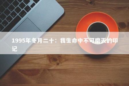 1995年冬月二十：我生命中不可磨灭的印记