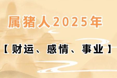 2007年属猪的人命运解析：如何把握人生机遇与挑战