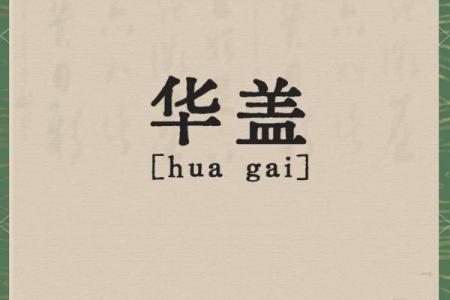 华盖多的人生奥秘：命运与性格的交织探讨
