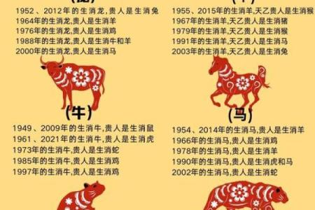 探究命运的珍贵：哪个生肖最值钱？