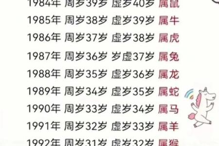 揭秘1981年属牛人的命运与人生轨迹