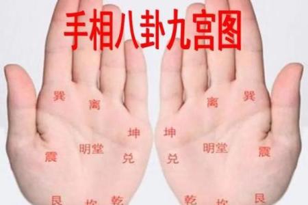 探秘手掌图：揭秘手掌中的命运玄机与人生智慧