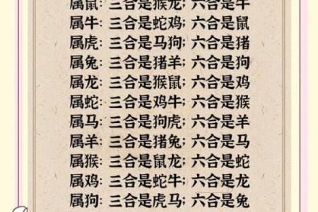 2023年孩子的命运解析：从生肖看未来的璀璨人生