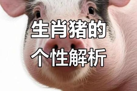 07年属猪男的命运解析：探索他的性格与人生道路