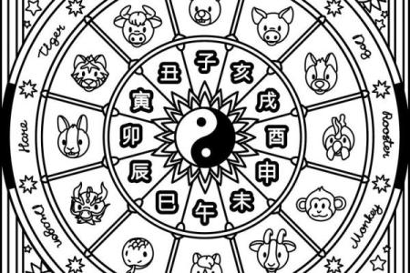 1993年的命运之谜：解析人生轨迹与命理之间的奥秘