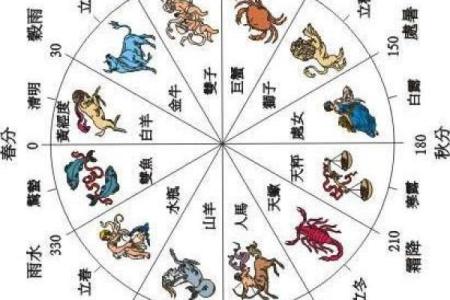 丁未时生人命理探秘：揭开命运的神秘面纱