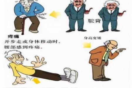 了解骨质疏松：如何有效预防与管理这一常见老年病症