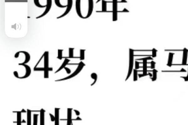 了解属马的1990年命格：卓越与坎坷的完美结合