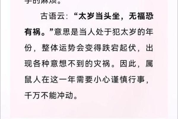 卯时出生属鼠的命理解析：揭开你的命运密码