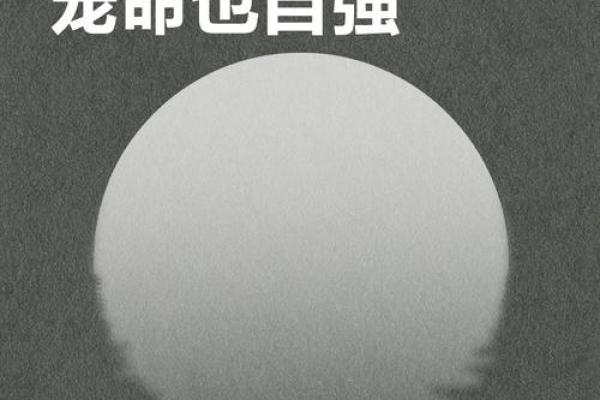 没有桃花的命格：孤独与自我成长的旅程
