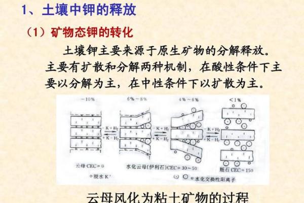 路旁土与命运：探讨土壤对人生的影响与启示