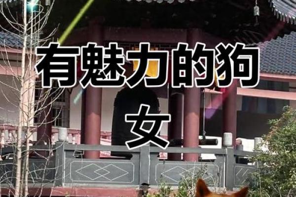 属狗女人的命运与个性解析：拥有忠诚与坚定的她们