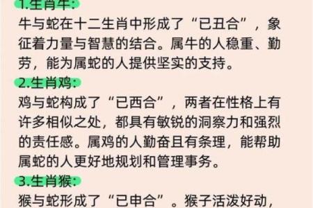 2023蛇年命理解析：探寻蛇年的神秘能量与人生方向