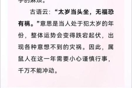 卯时出生属鼠的命理解析：揭开你的命运密码