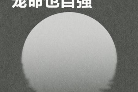 没有桃花的命格：孤独与自我成长的旅程
