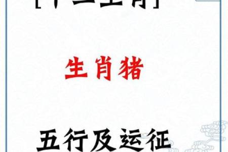 1947年出生的猪属于什么命？揭示其人生运势与性格特点！