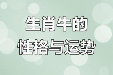 1998属牛命运解析：勇者之路与智慧之光的结合