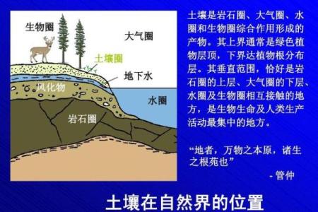 路旁土与命运：探讨土壤对人生的影响与启示