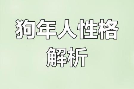 1950年属狗人的命运解析：忠诚与智慧的结合之路
