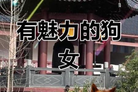属狗女人的命运与个性解析：拥有忠诚与坚定的她们