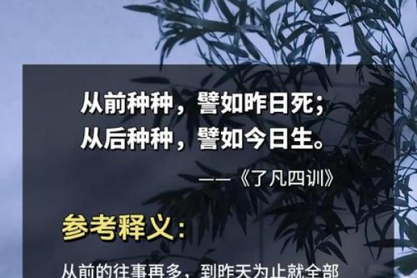 探秘“接命”：古老文化中的智慧与人生哲学