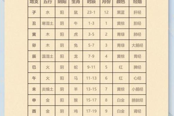 2019与2020年的命理玄机：揭示命运的奥秘与变化