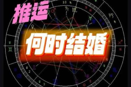 探索紫薇命盘的奥秘：揭示生命中的机遇与挑战