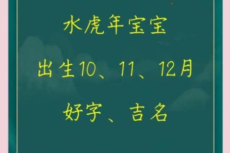 水虎命的忌讳与相合属相的深度解析