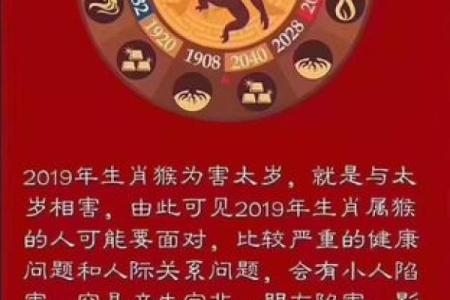 1941年出生的人属什么命？揭开命运的神秘面纱！