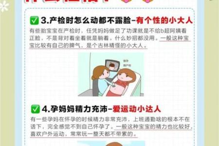 1964年出生的孩子命运探秘：性格与人生道路的多重解读