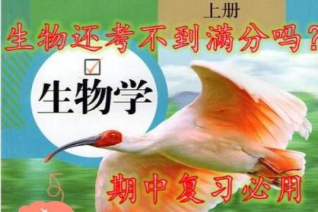 探索海中生命的奥秘：海中命的意义与价值