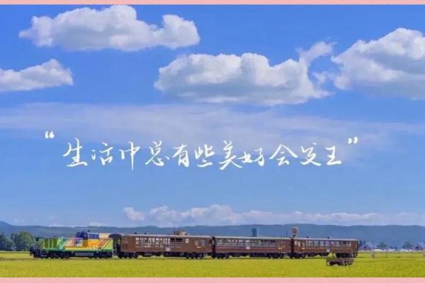 孟晚舟：命运与卦象的深度解读