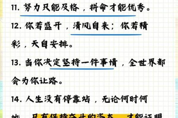 每月的命格分析与最佳选择，助您规划人生道路