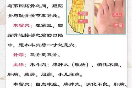 木命亡命安葬的最佳方位与禁忌指南