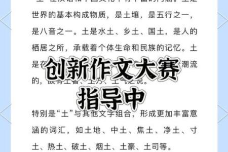 2019年土命的秘密：探寻土元素的影响与意义