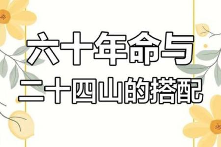 庚子仙命坐山忌讳：解读命理背后的深意与智慧