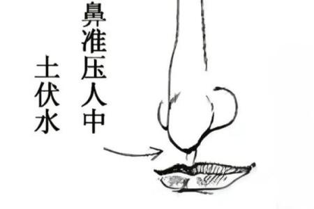 鼻子上有凹槽是命？解读鼻相与命运的关系！