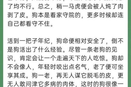 解密51属狗人：命运、性格与人生旅途的探索