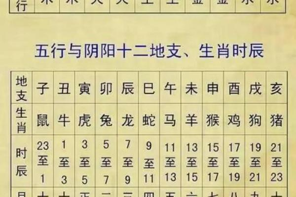 1996年属牛的命运解析：五行与性格的深度揭示