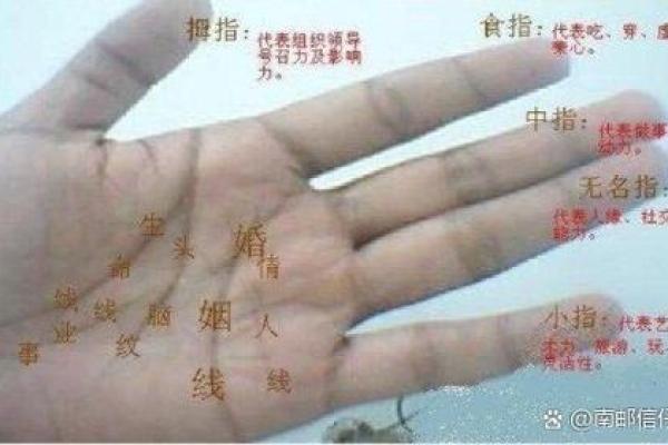 浅手纹的命运解析：揭秘独特命格背后的故事