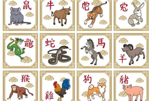 2020金鼠年命运分析：探索金鼠带来的机遇与挑战