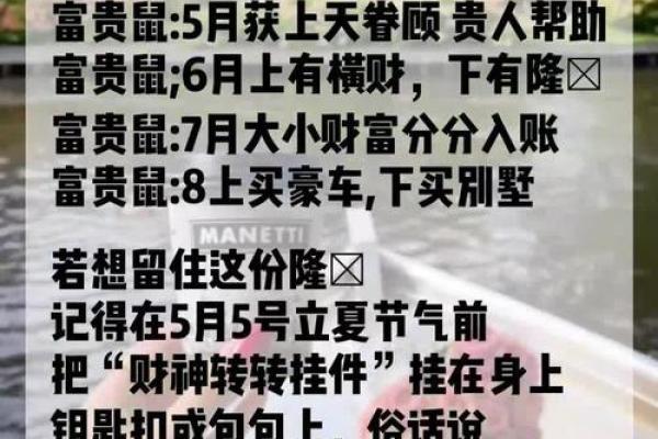 2020金鼠年命运分析：探索金鼠带来的机遇与挑战