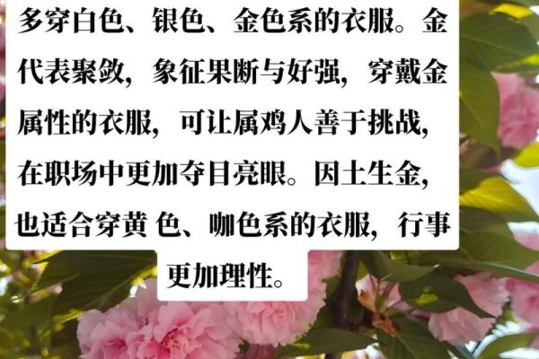 金命人招财颜色的选择与运用技巧